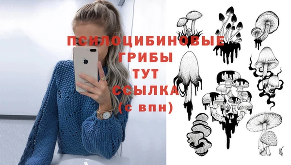 таблы Осташков