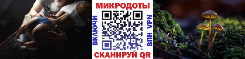 Псилоцибиновые грибы мицелий  OMG сайт  Зеленоградск 
